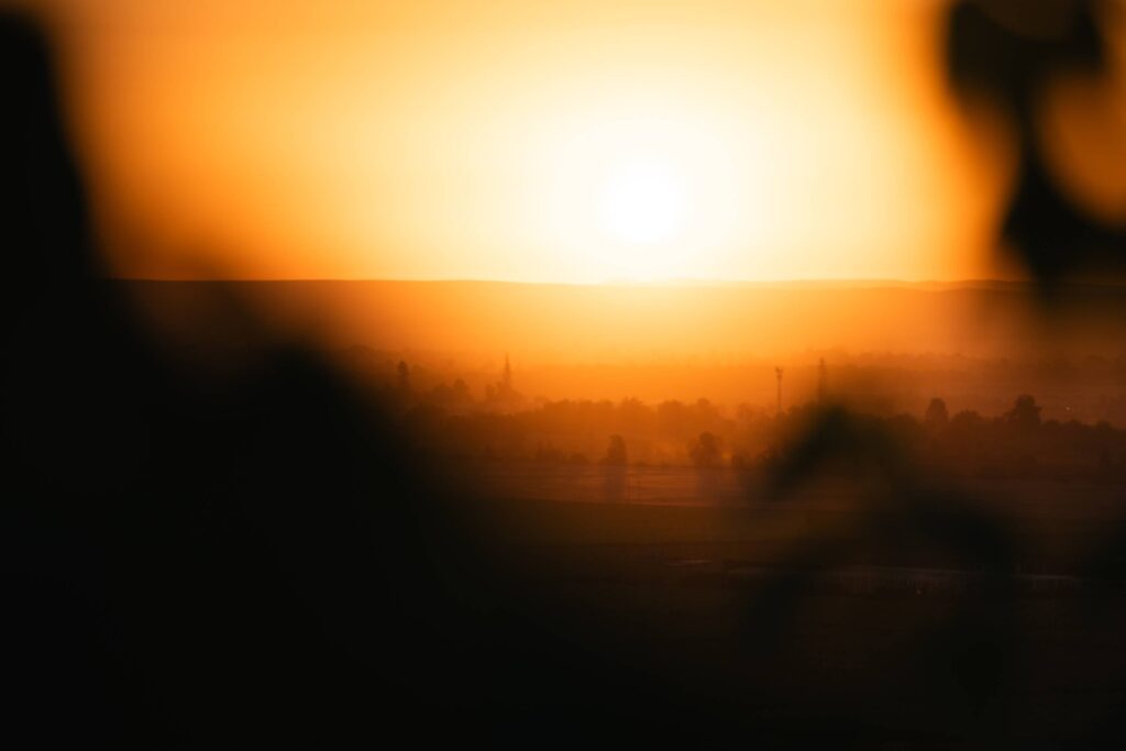 Golden sunrise over misty vineyard landscape with silhouetted trees and structures.