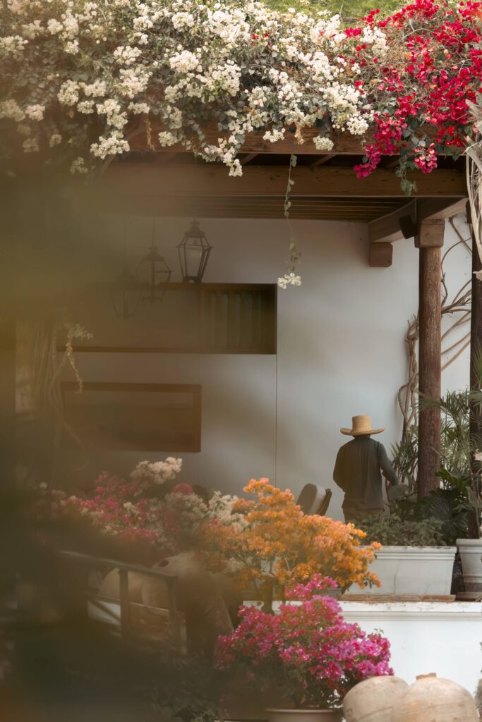Serene garden with orange, pink, and white flowers, lush greenery, wooden patio, and person tending plants.