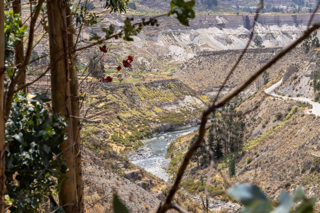 River winding through a dramatic Andean canyon landscape, seen through native vegetation.