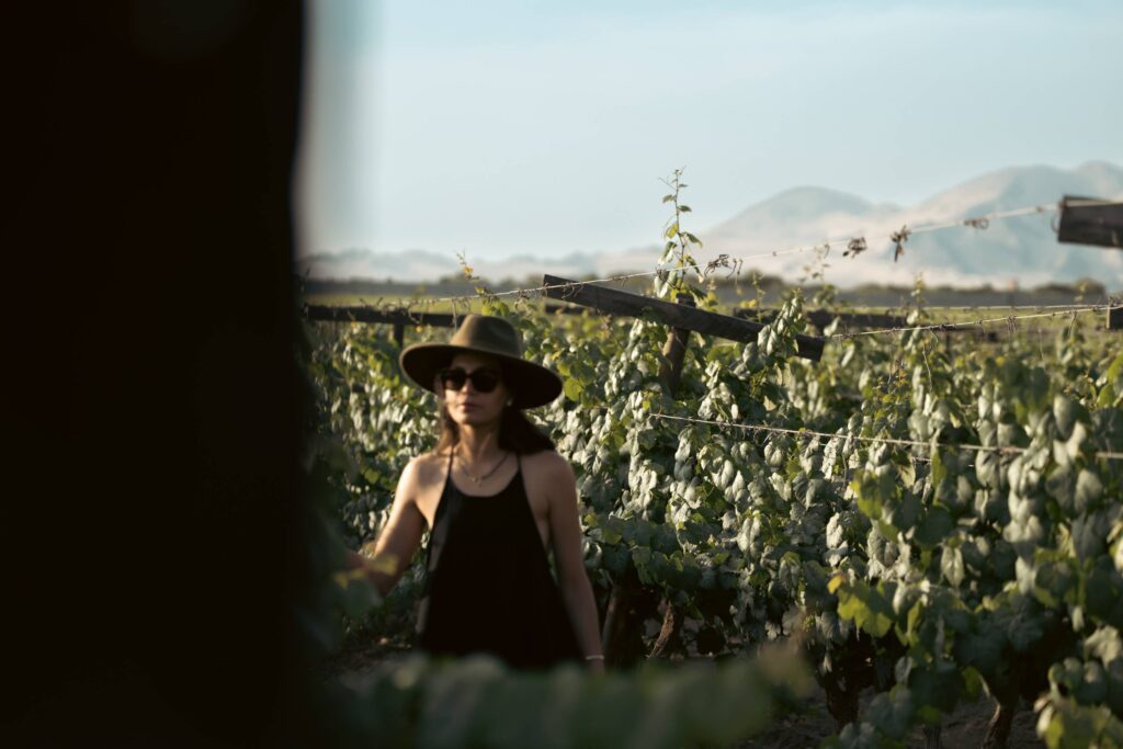 Woman in wide-brimmed hat and sunglasses walking through a sunlit vineyard with green grapevines and distant mountains.